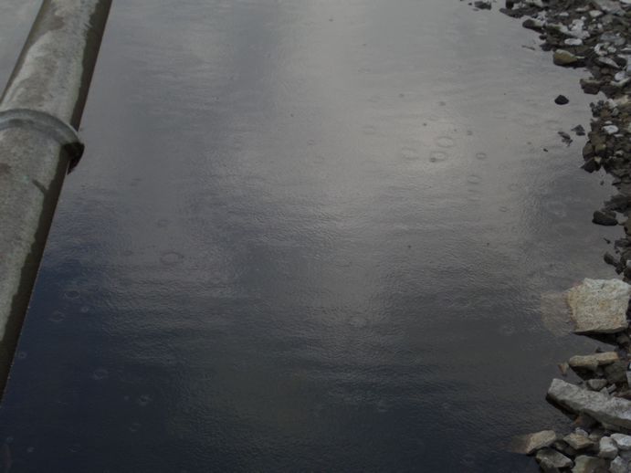 Close-up of small raindrops on water.