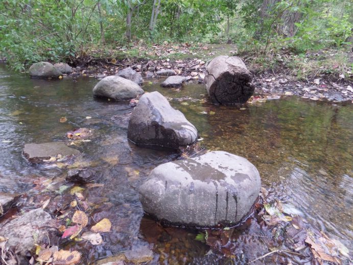 stones splattered with water crossing a stream.