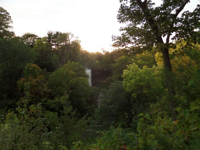 Waterfall in the distance covered by trees.