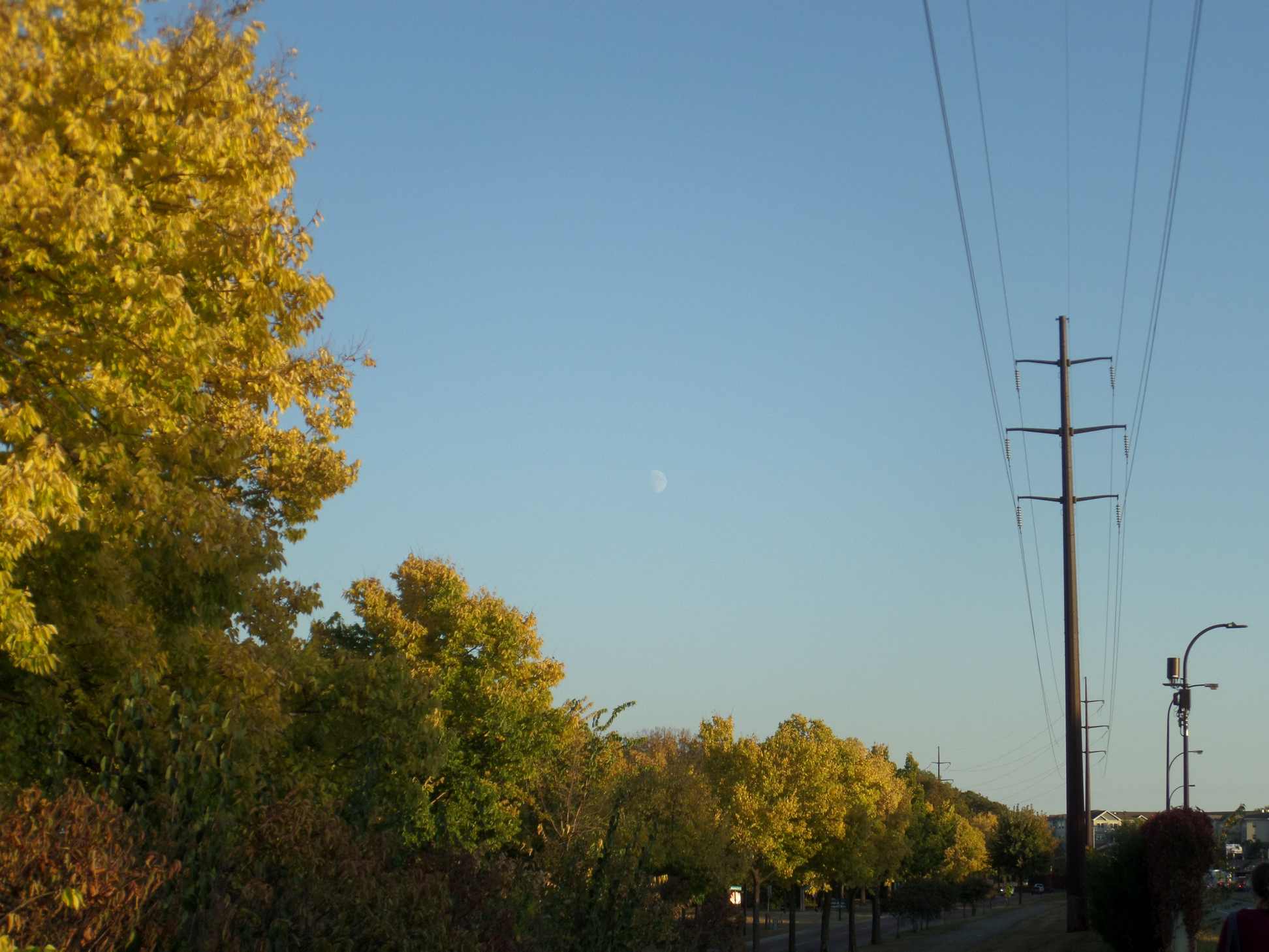 Empty blue sky; Yellow leaves and powerlines in foreground.