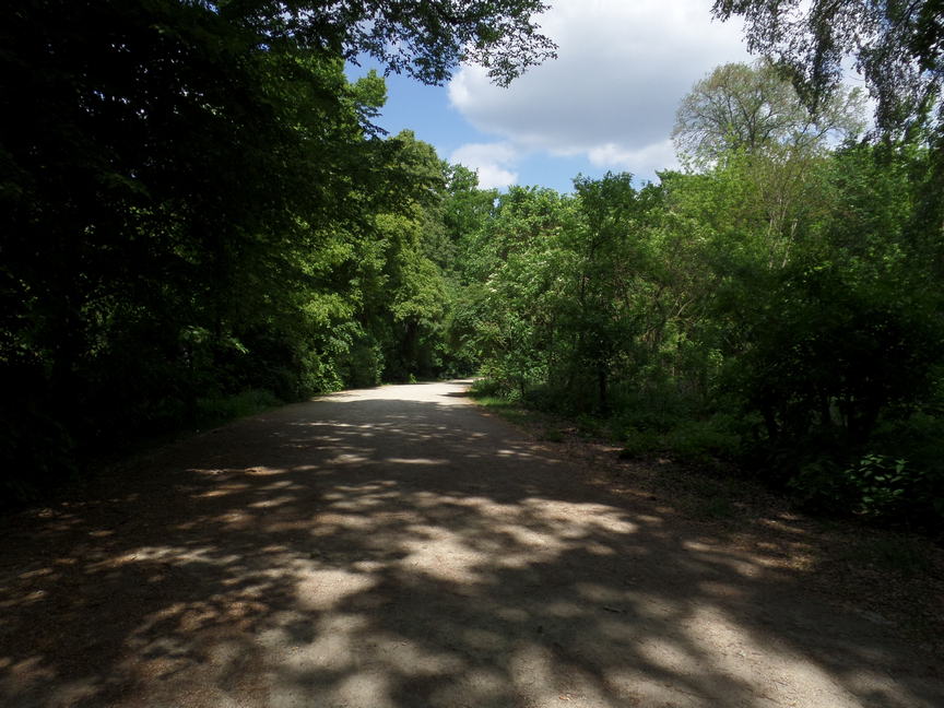 overgrown path