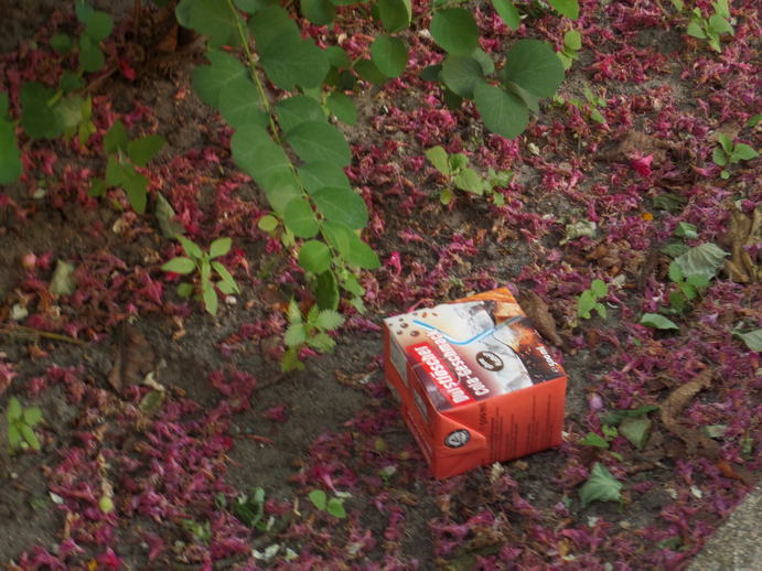 juicebox under a bush