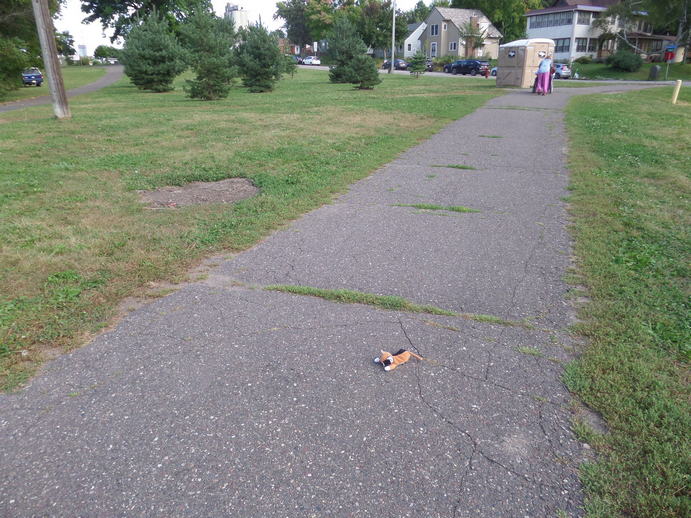 Tiny beanie baby cat on a sidewalk in grass