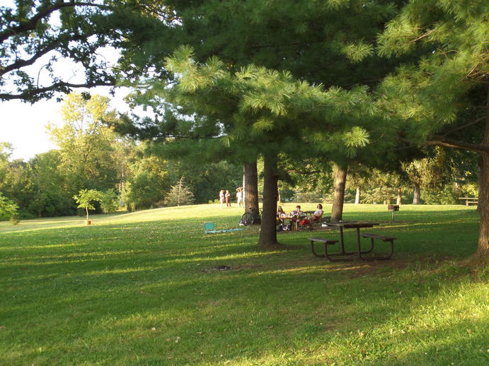 queers in the distance, green grass and sunlight