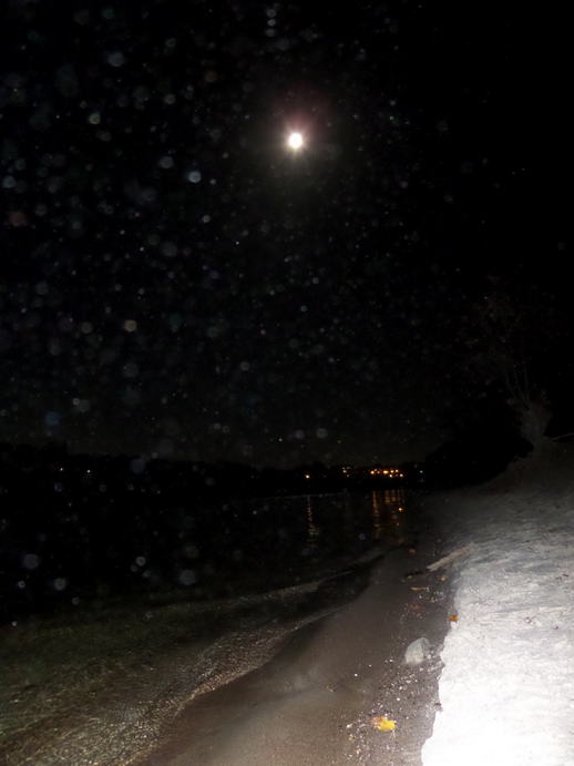 flash photo of a white beach, moon in the sky