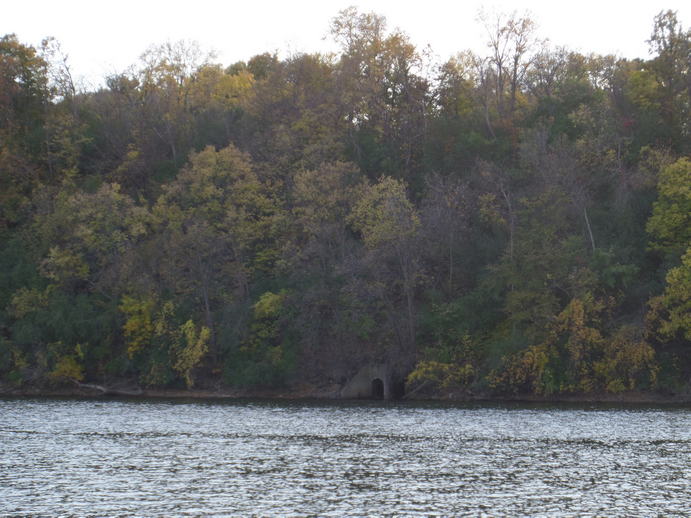 Looking across a river to a wall of growth. A tiny opening to a tunnel on the water.