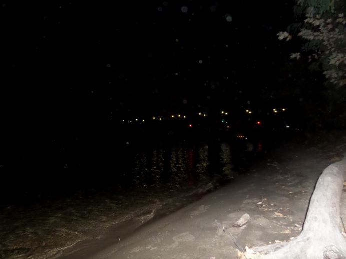 flash photo from a beach looking at lights on a bridge over a river