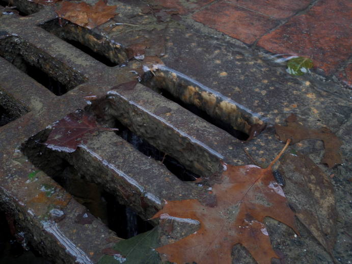 very wet sewer grate.