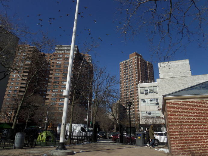 a big murmuration of pidgeons against a flat blue sky and highrise buildings.