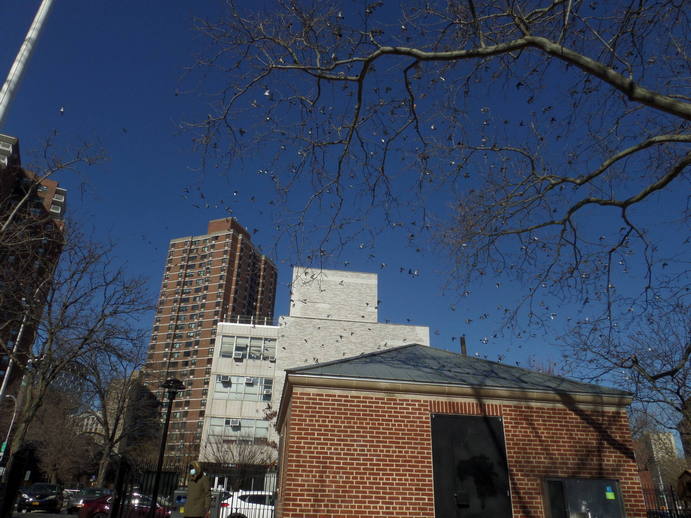 a big murmuration of pidgeons against a flat blue sky and highrise buildings, over a public bathroom.