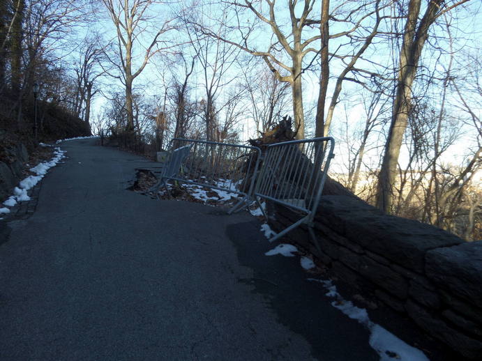 a fallen tree has collapsed part of an uphill concrete path