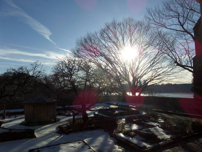 snowy garden, blue winter sky, bare tree branches.