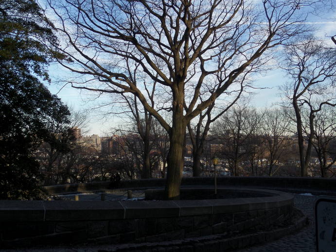 baren winter trees and a curving brick road.