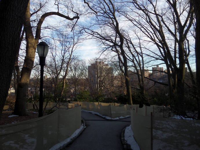 baren winter trees and a forked paved path with thin fabric fencing.