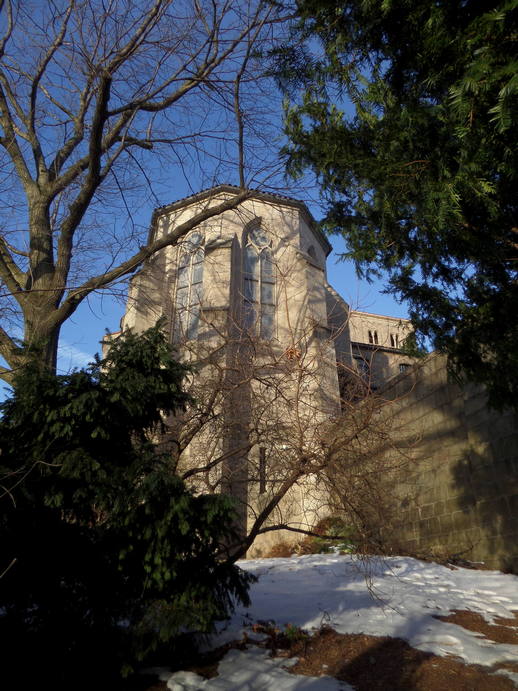 a tower of the cloister seen through the trees.