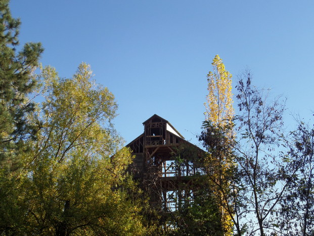 wooden strucutre missing walls viewed through trees.