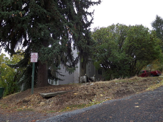 A run down apartment building on a hill viewed through tree branches.