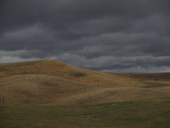 Rolling golden hills against a gray sky.