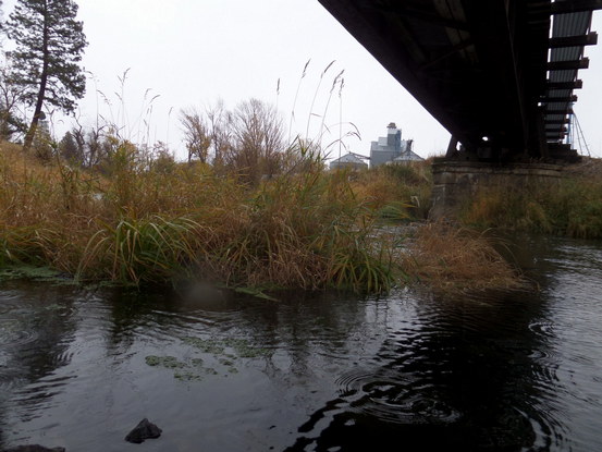 stream under a train bridge, rainy.